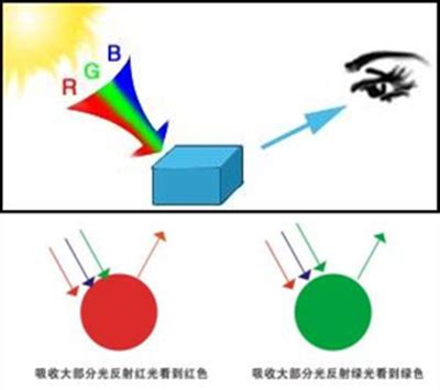 不透光|为什么有的物体是可以透光的，而有的物体不可以透光？透光与否。